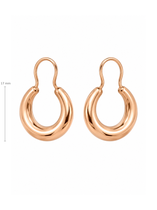 Auksiniai pusmėnulio formos auskarai – 17 mm
