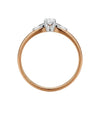 suzadetuviu ziedas 20 dydis 350 eur