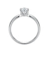 auksinis ziedas 606 eur