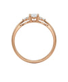 auksinis ziedas 423 eur