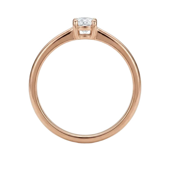 auksinis ziedas 358 eur