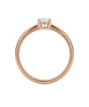 auksinis ziedas 358 eur